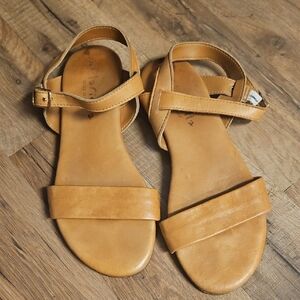 Tan Flat Sandals with Two Straps and Smooth Footbed